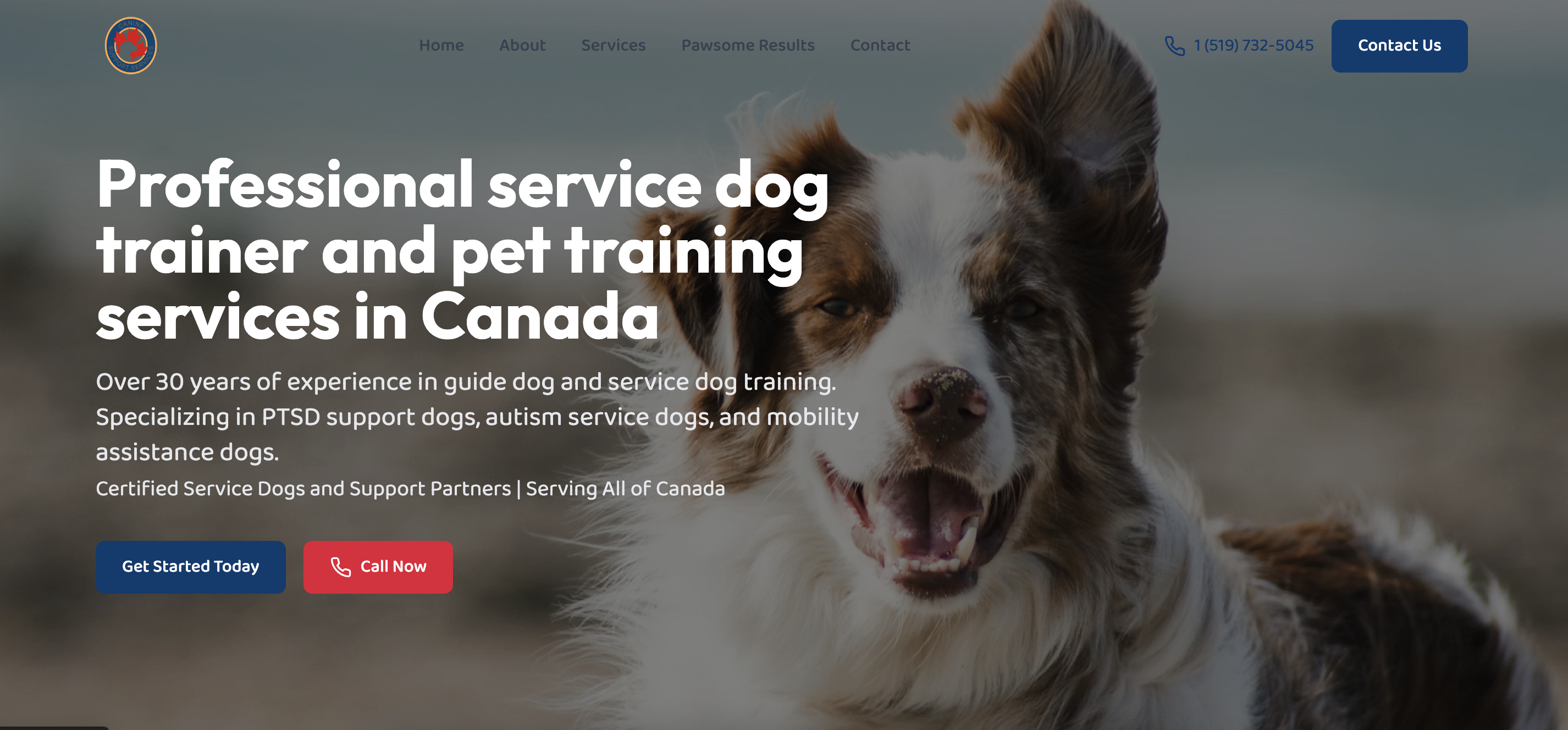 Canine Support Services - Toronto, Ontario